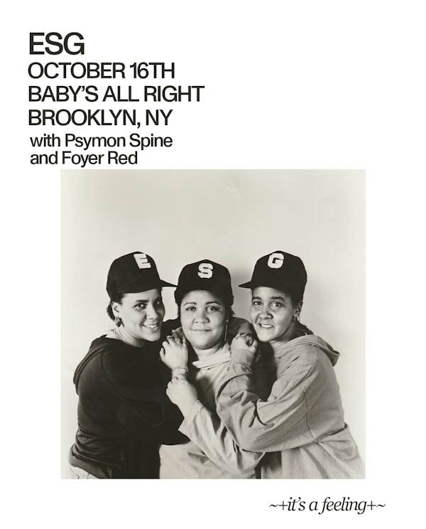 Flyer for ESG