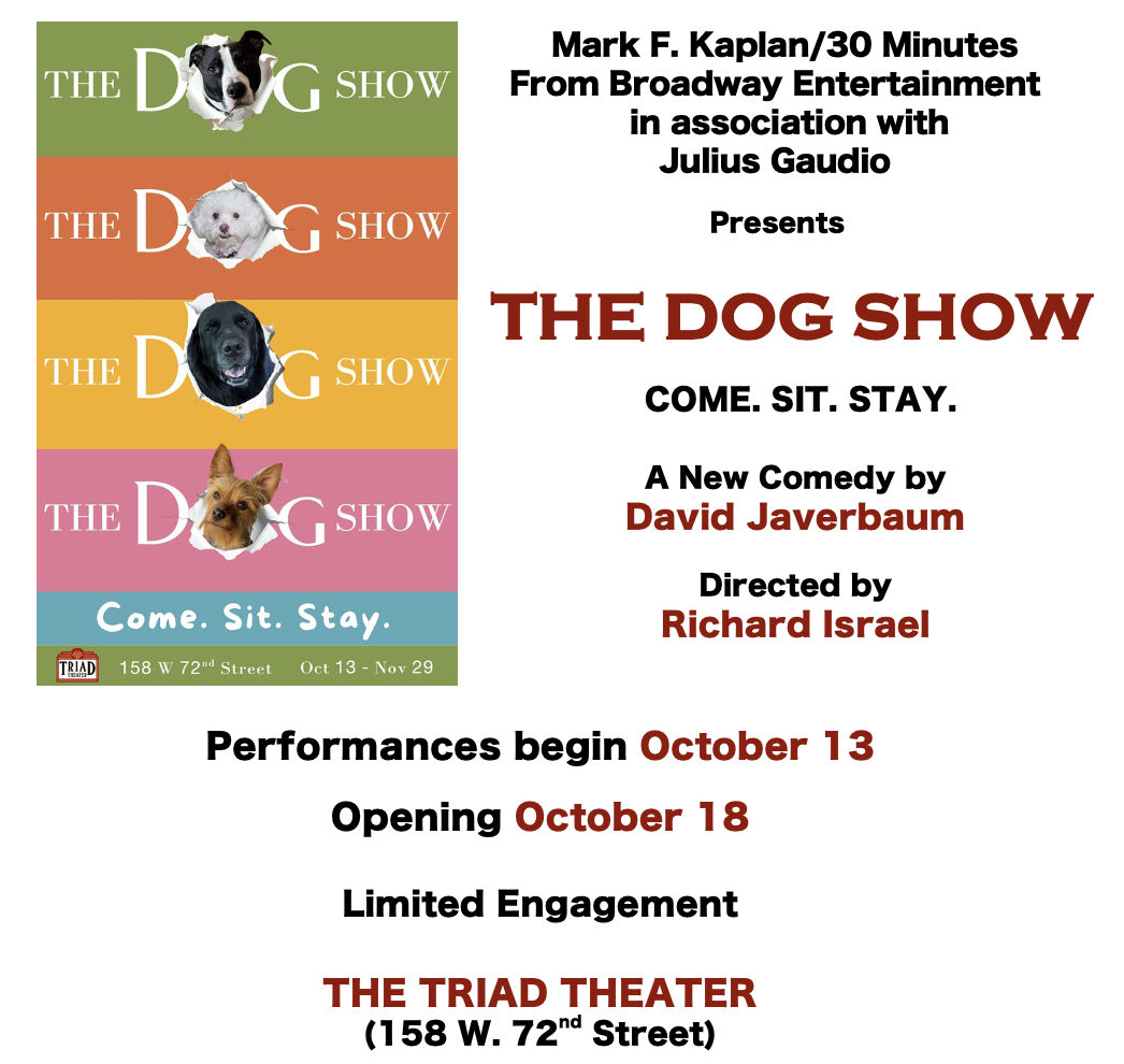 Flyer for The Dog Show: Come. Sit. Stay