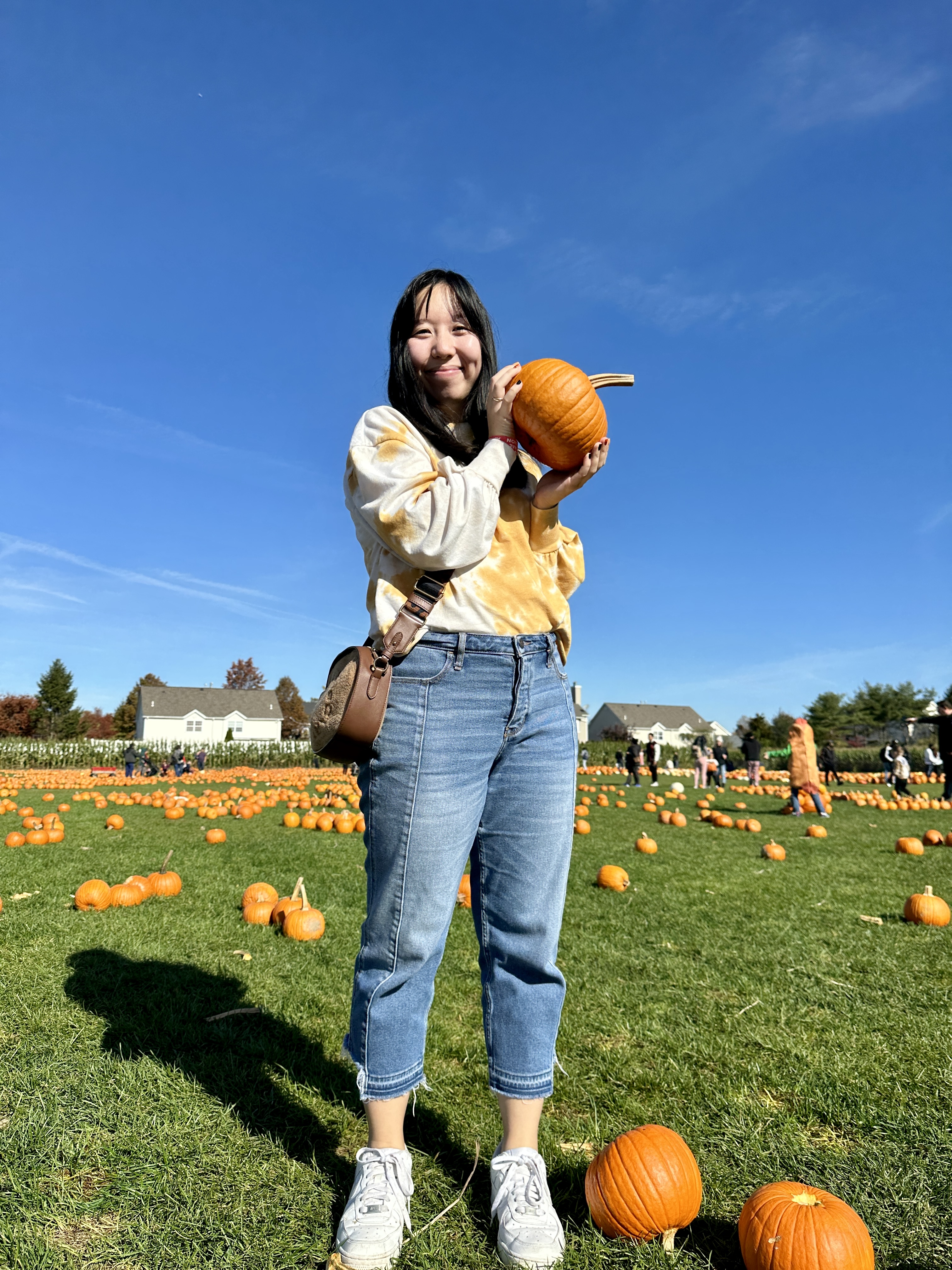 Flyer for Pumpkin Point