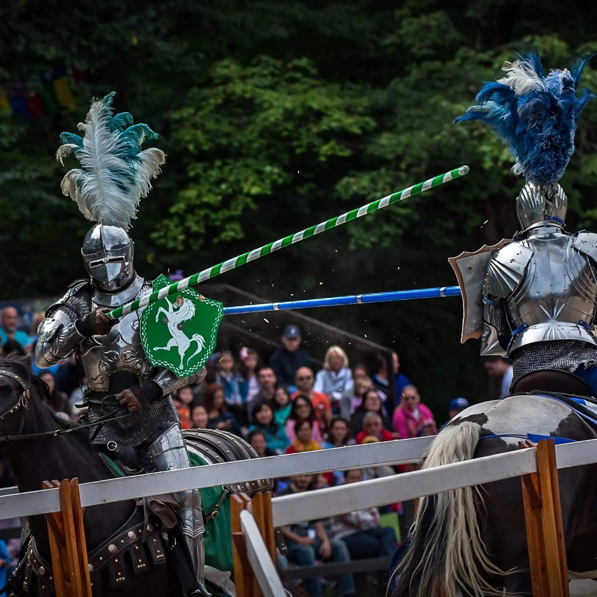 Flyer for New York Renaissance Faire