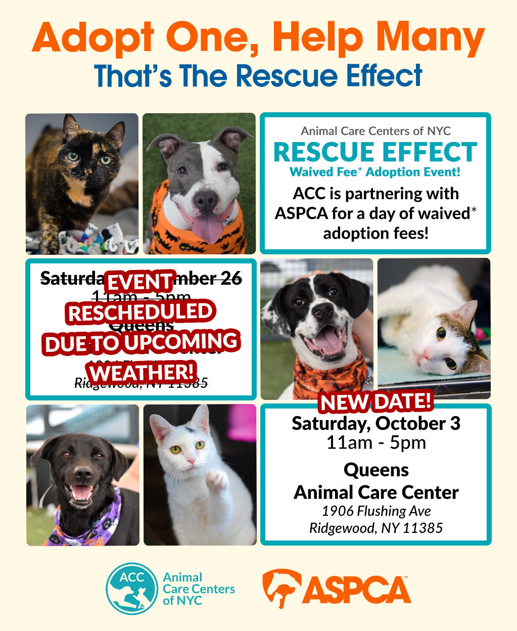 Flyer for ACC & ASPCA Rescue Effect Waived Fee Adoption Event