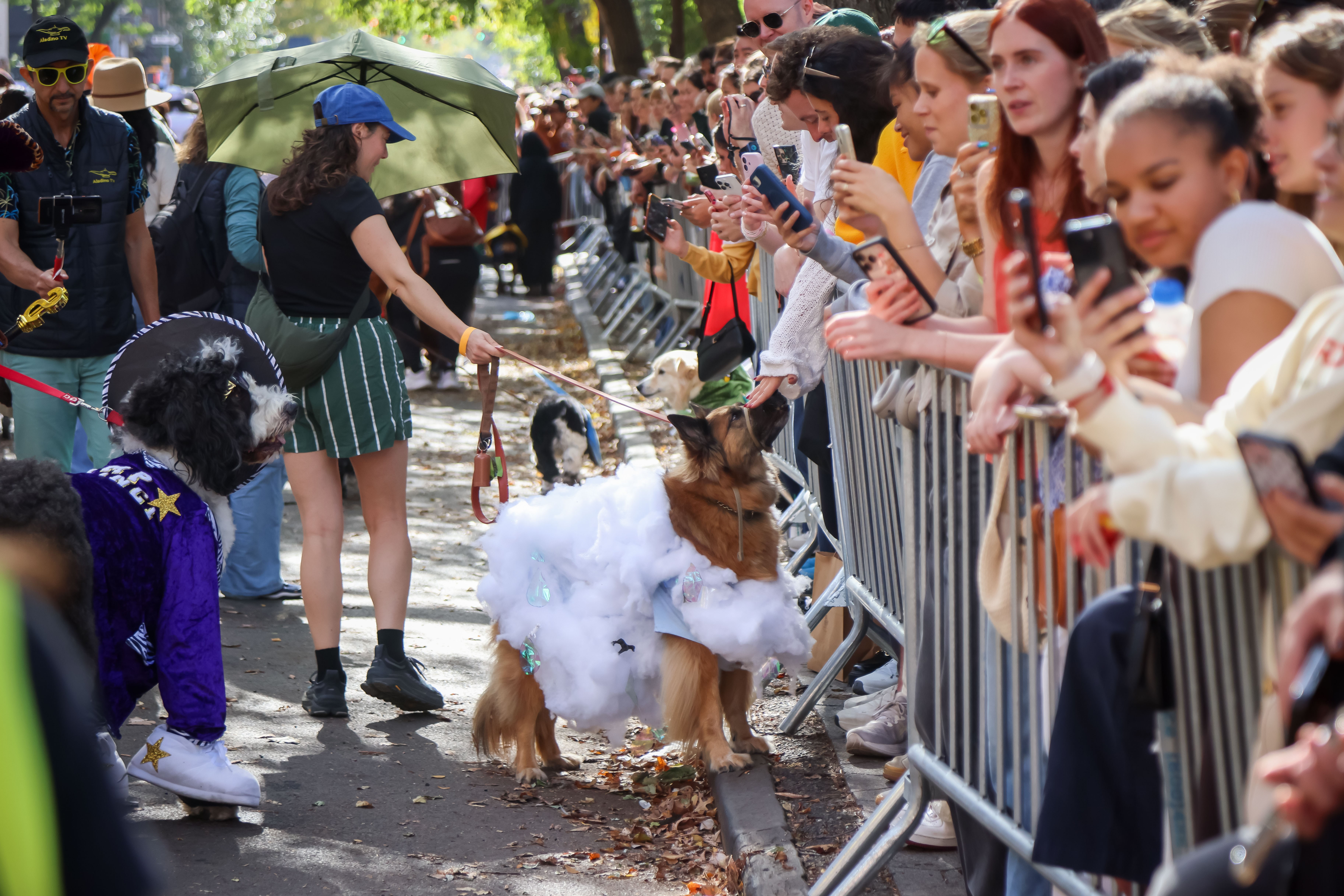 Flyer for Tompkins Square Halloween Dog Parade