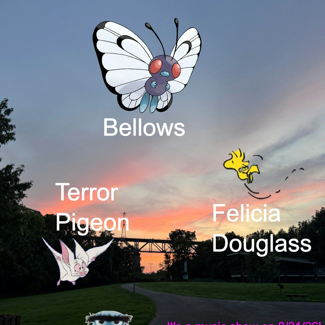 Flyer for Music Show: Bellows, Terror Pigeon, Felicia Douglass