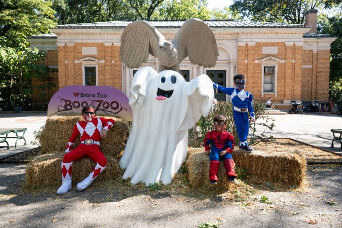 Flyer for Boo at the Zoo at Bronx Zoo