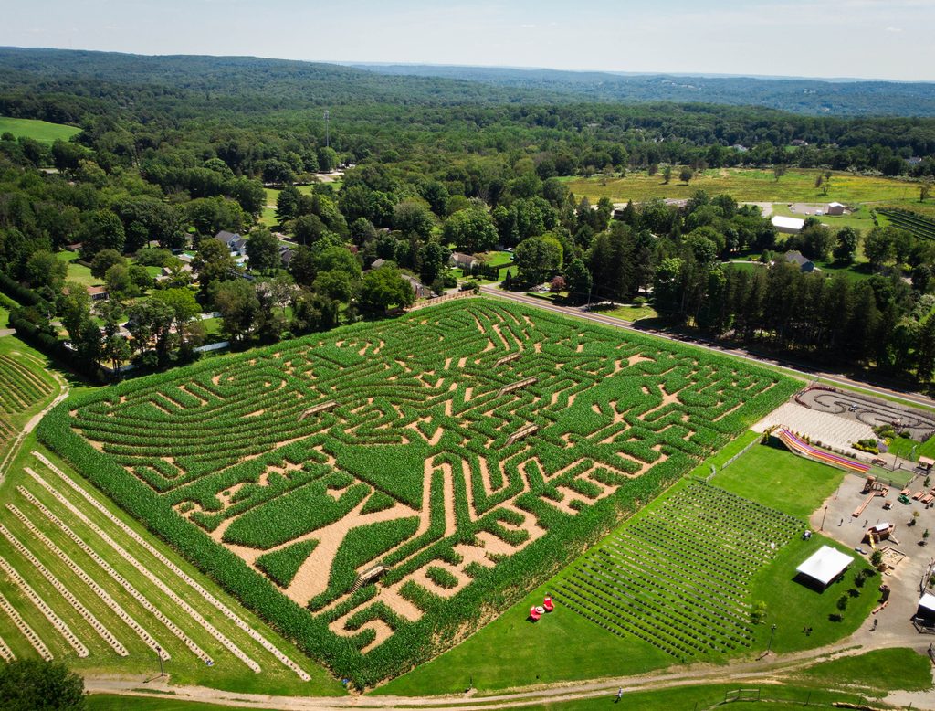 Flyer for Spooky Night Maze at Harbes Orchard