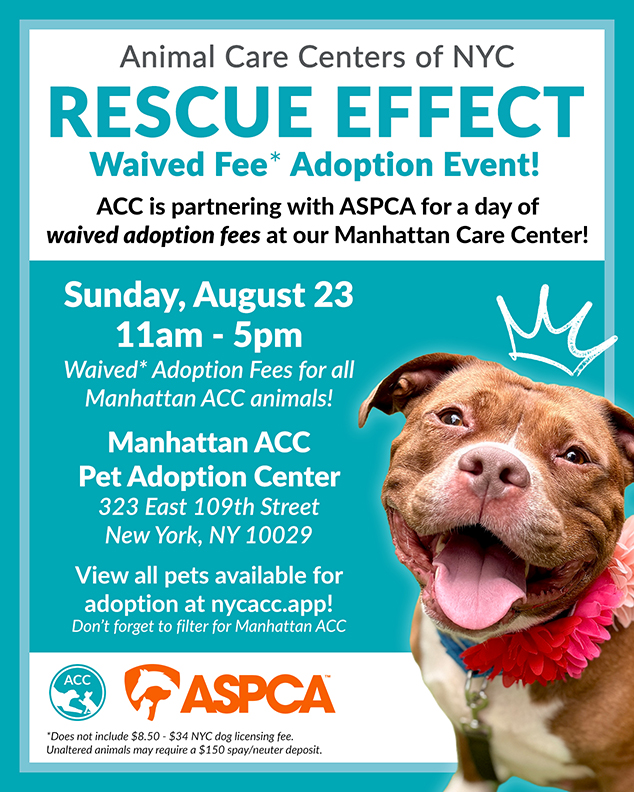 Flyer for Animal Care Centers of NYC RESCUE EFFECT Waived Fee* Adoption Event!