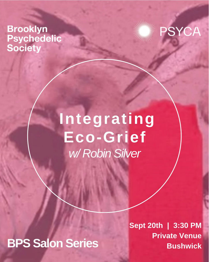 Flyer for Integrating Eco-Grief w/ Robin Silver (BPS Salon Series)