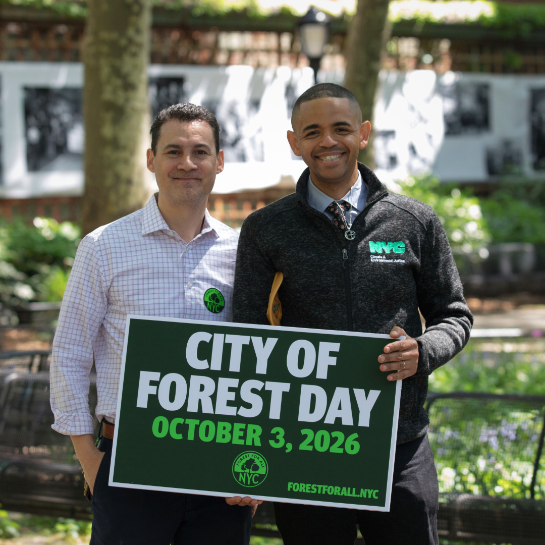 Flyer for City of Forest Day