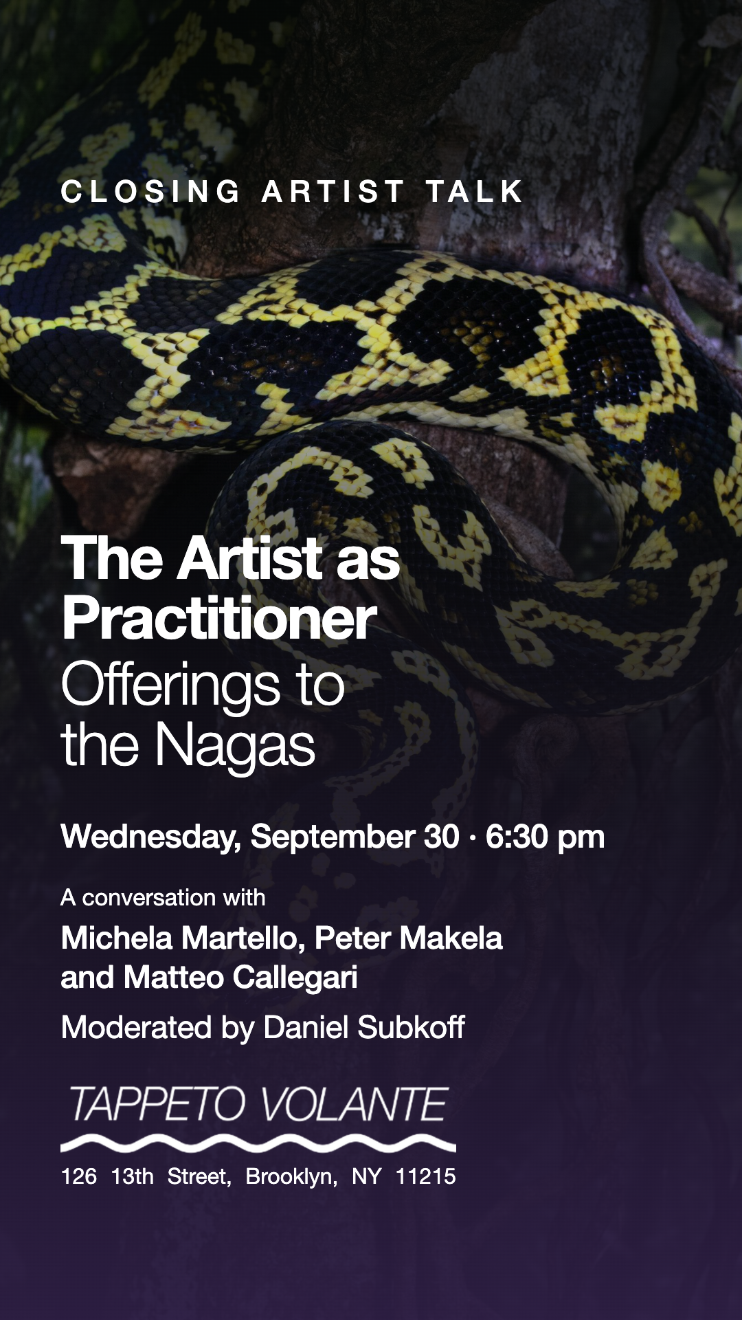 Flyer for Closing Artist Talk: The Artist as Practitioner Offerings to the Nagas