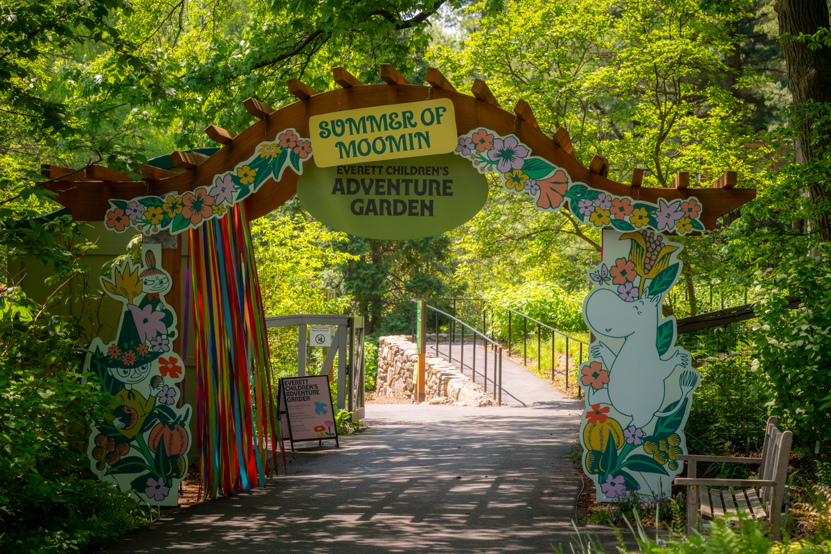 Flyer for New York Renaissance Faire