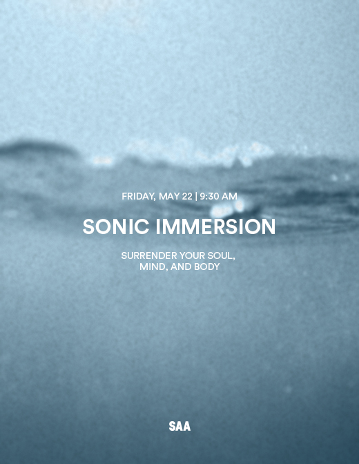 Flyer for SONIC IMMERSION