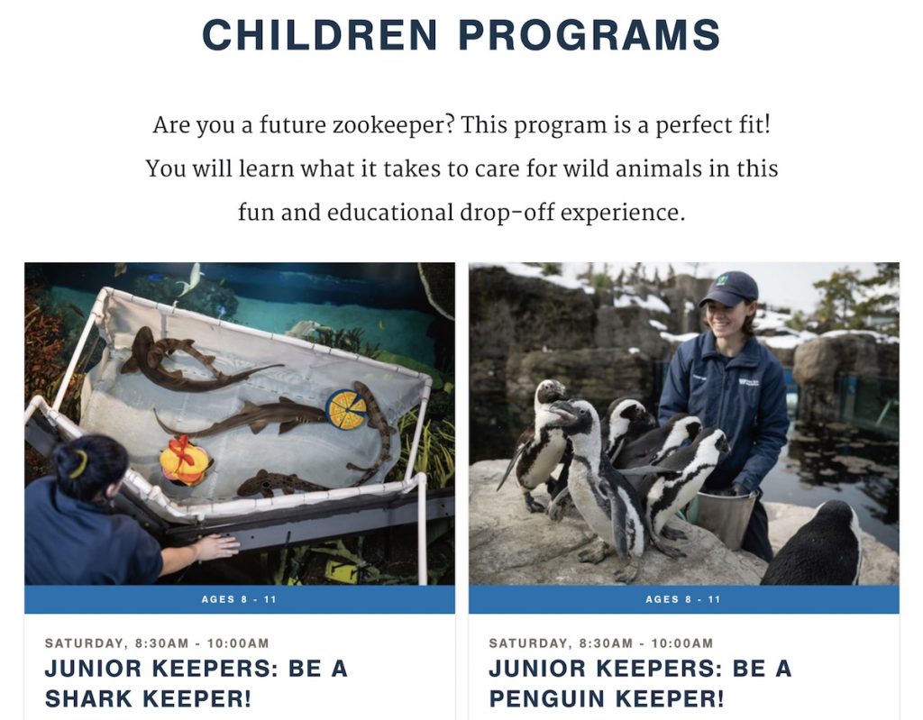 Flyer for Junior Keepers: Animal Behaviorists (Grades 3-5)