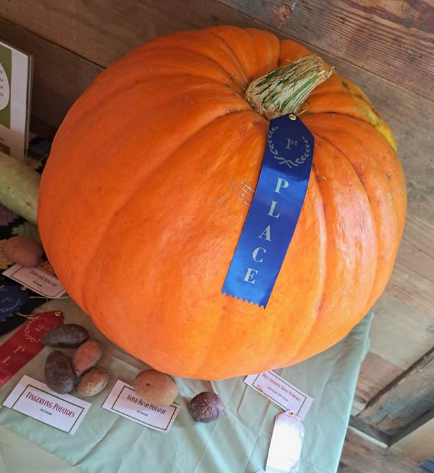 Flyer for Annual Hallockville Country Fair